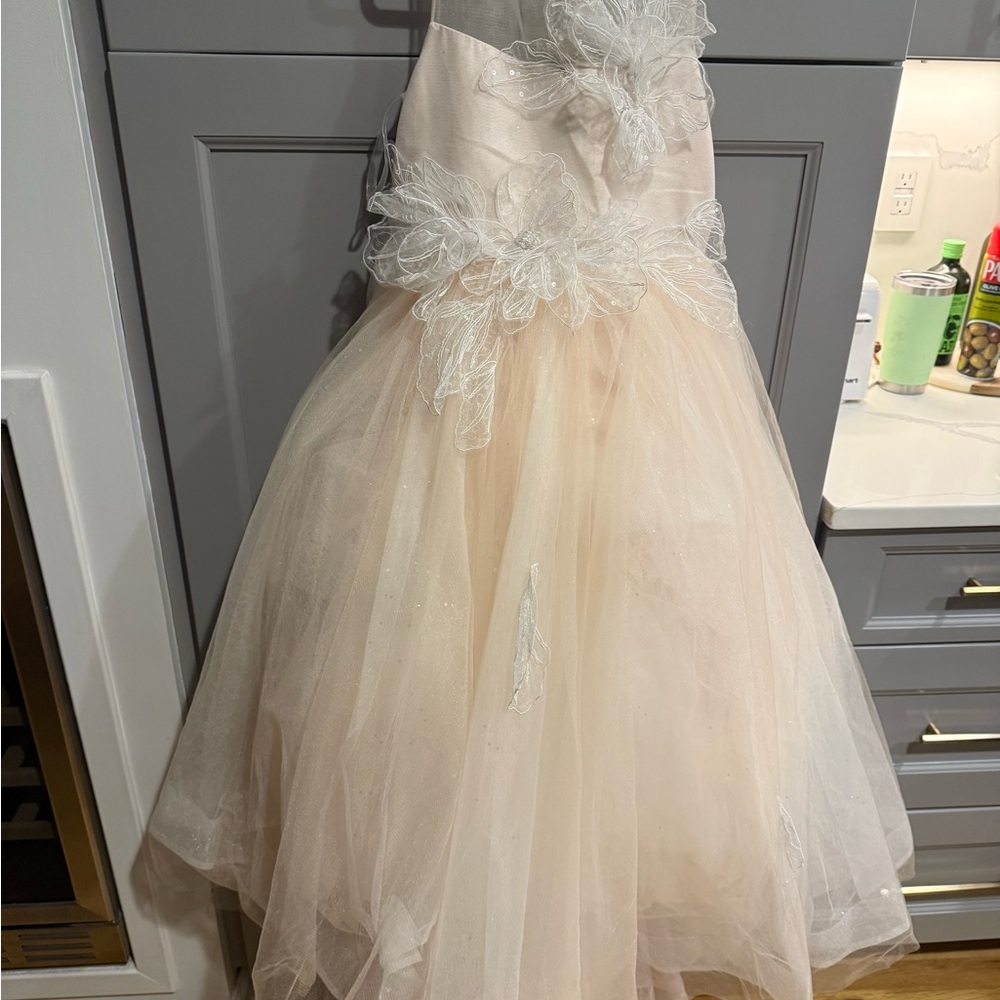 Princess Daliana 3D Floral Flower Girl Dress